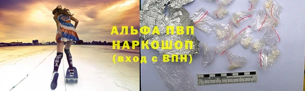 индика Белоозёрский