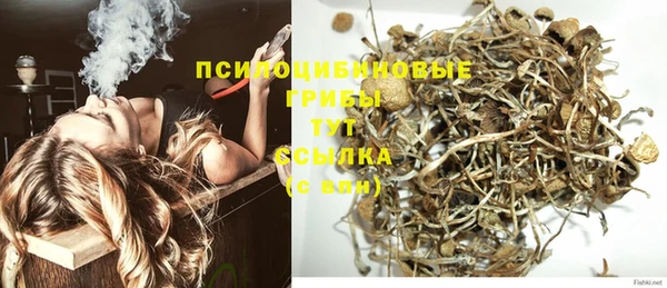 не бодяженный Беломорск