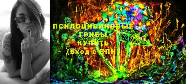 индика Белоозёрский