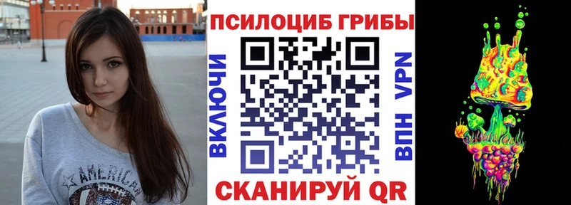 Галлюциногенные грибы Psilocybe  Щёкино 