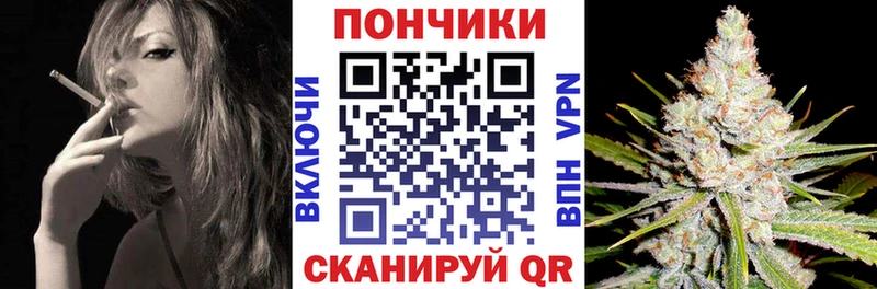 Шишки марихуана план  ссылка на мегу ссылки  Щёкино  купить наркотик 